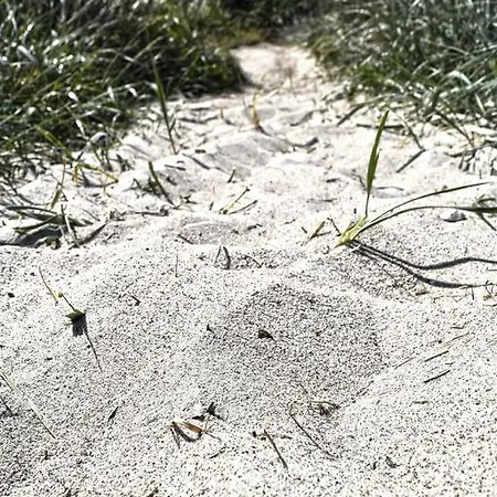 Hétvégi ház Strand - Bed & Beach